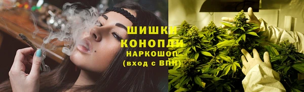 гидра Бронницы