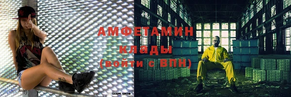 гидра Бронницы