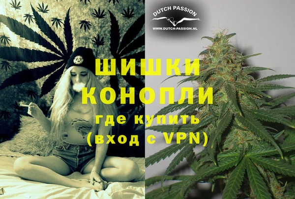 гидра Бронницы