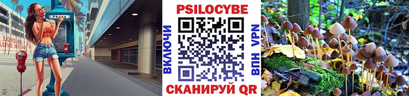 Галлюциногенные грибы мицелий  как найти закладки  Мончегорск 